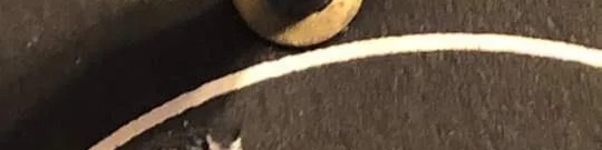 Fexto - Fed Extremena de Tiro (160)